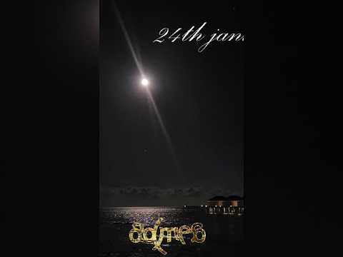 Copertina di 24th january