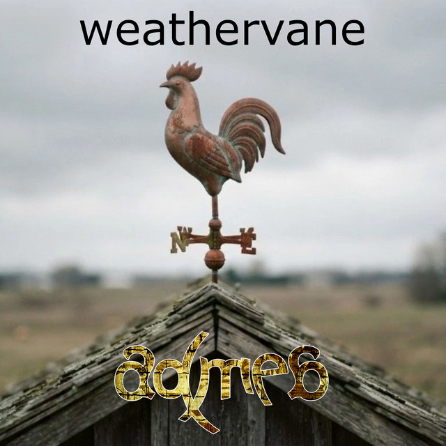 Copertina di weathervane